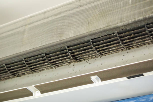 Best Air Duct Cleaning Cost  in South Miami, FL